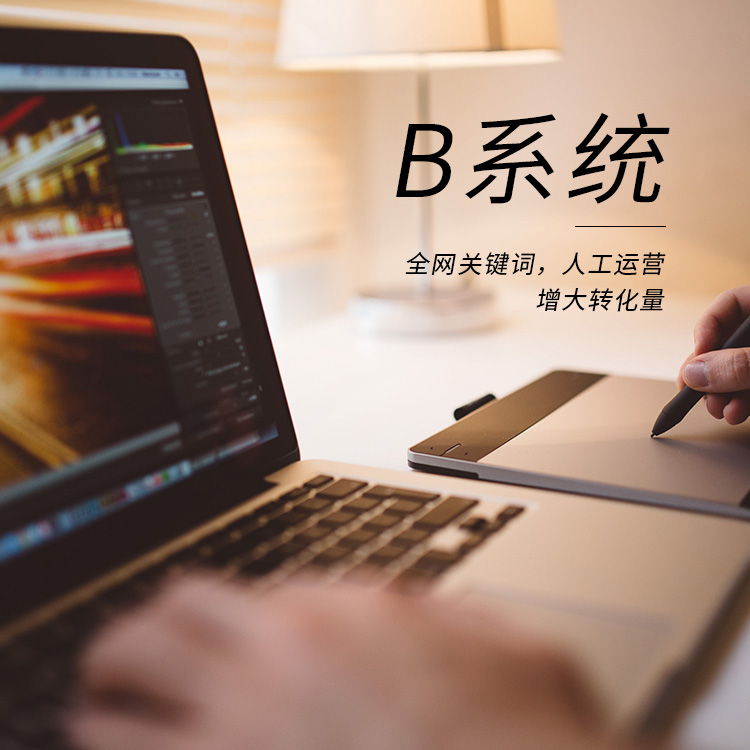 濟南網站優化